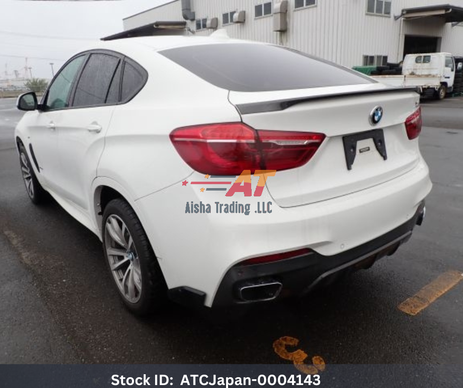 2018 BMW X6